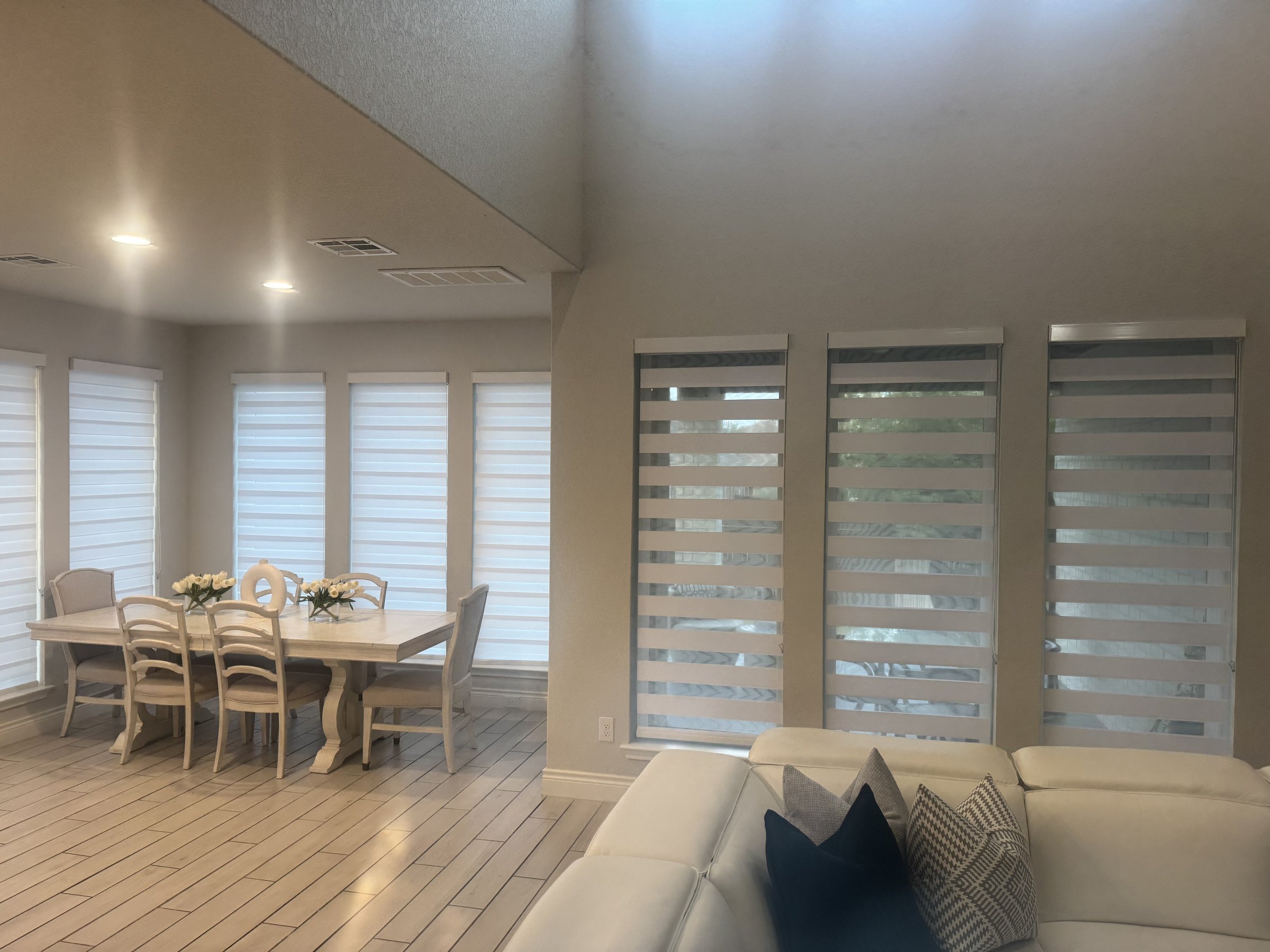 White zebra shade in a living room