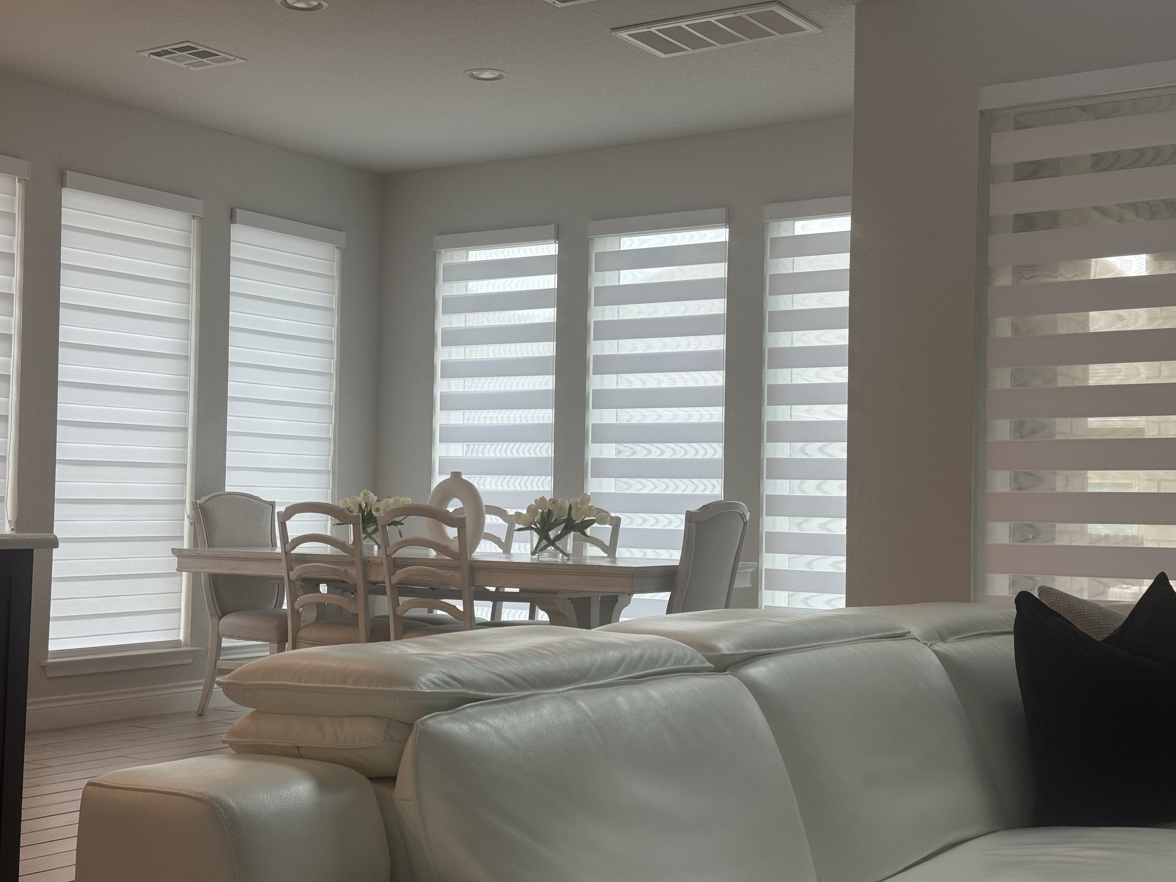 White zebra shade in a living room