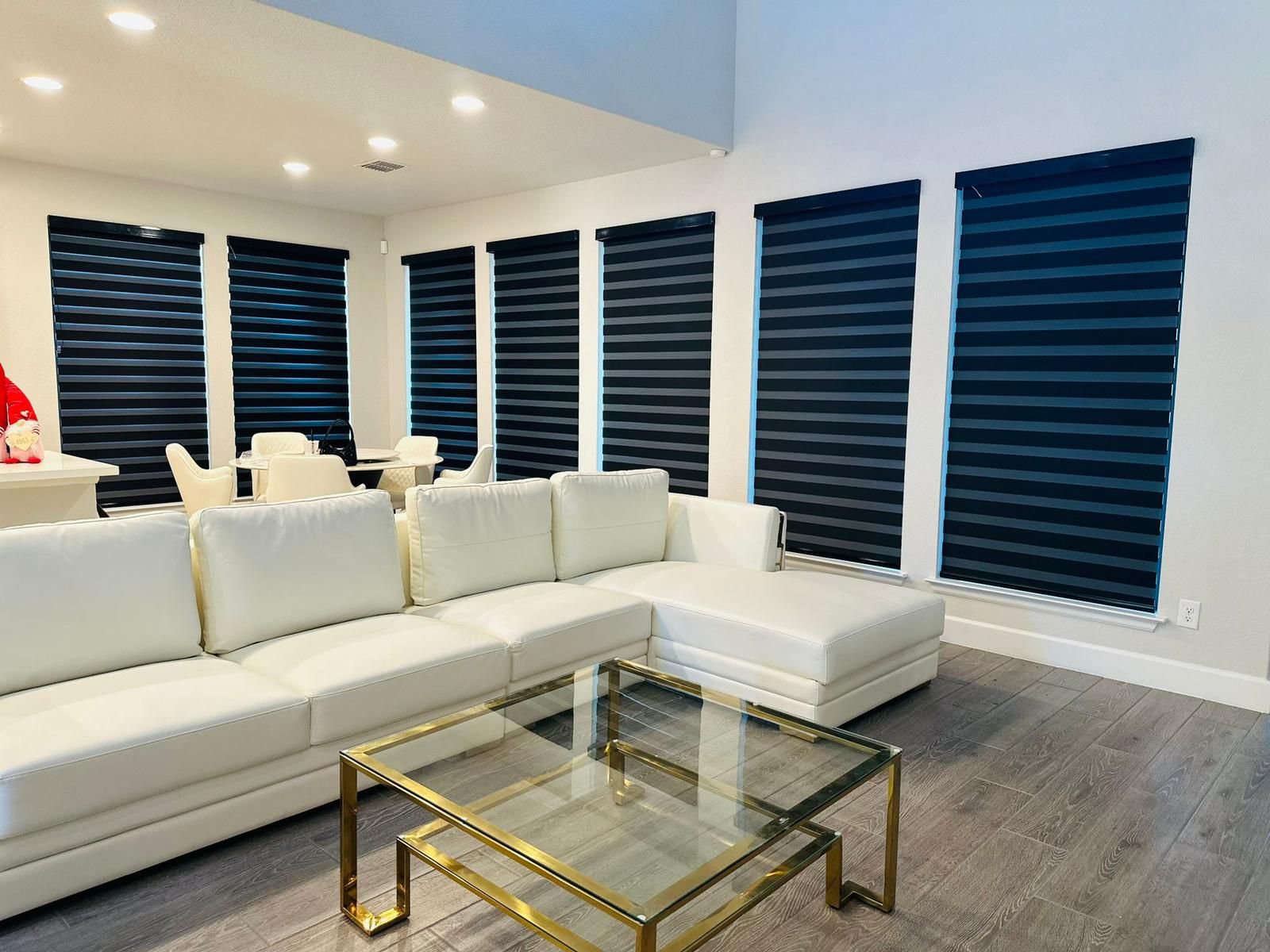 Navy zebra shade in a living room